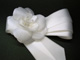 Floreti Choker Silk Flower Accessories