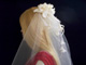 Floreti Wedding Veils