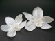 Floreti Orchid Silk Flower Accessories