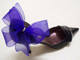 Floreti Bow Accessories