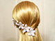 Floreti Stephanotis Silk Flower Accessories