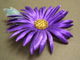 Floreti Aster Silk Flower Accessories